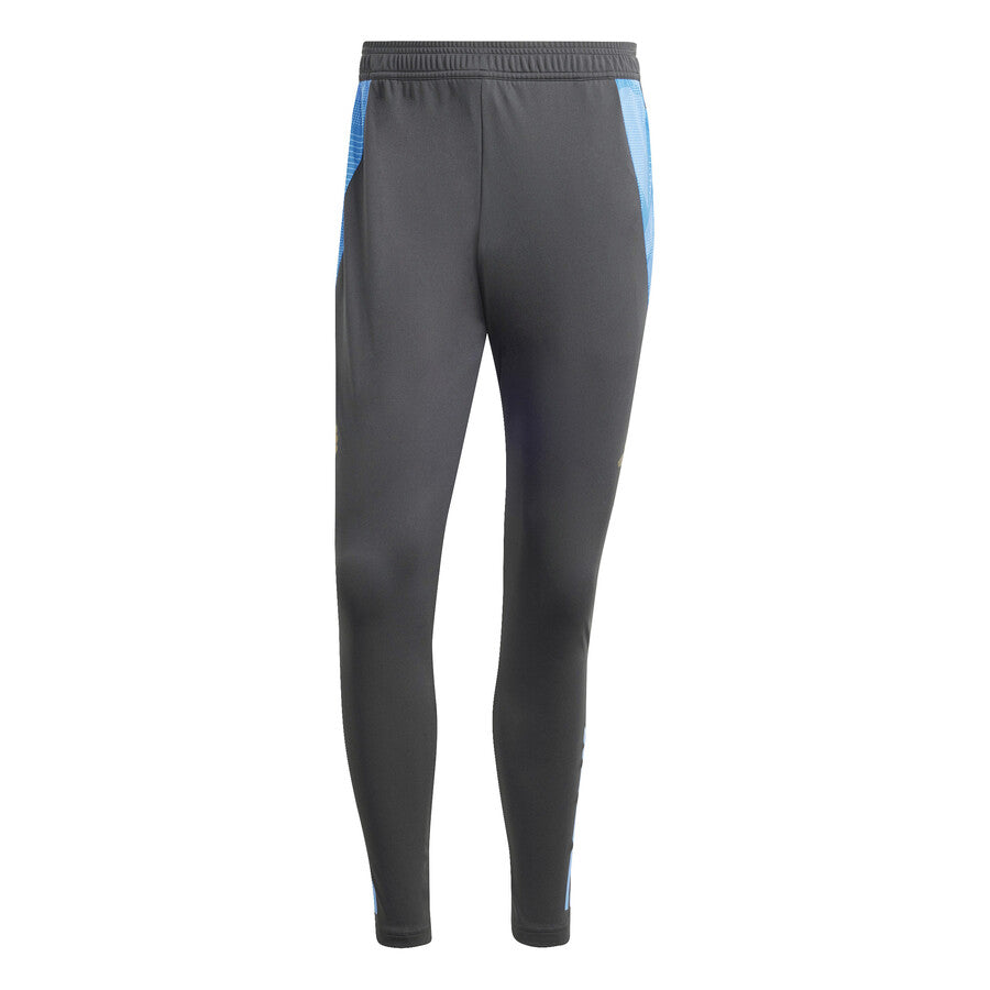 Pantalon d'entraînement Argentine Gris/Bleu Homme