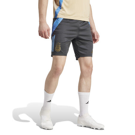 Short Training Argentine Gris/Bleu Homme 2024/25