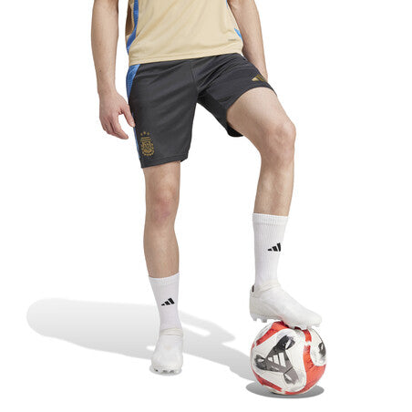 Short Training Argentine Gris/Bleu Homme 2024/25