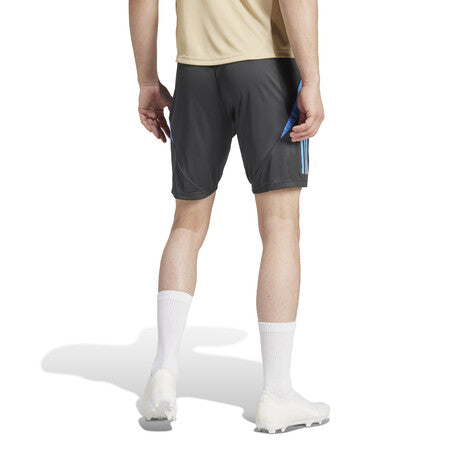 Short Training Argentine Gris/Bleu Homme 2024/25